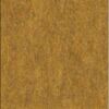 Acoustic ceilings honey