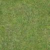  Grass_C_Diff
