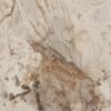 Patagonia Naturale POL Porcelain tile 1198x598 Patagonia-Naturale-POL-598x1198-F11