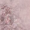 Nahla LTD03092_Scan_Web