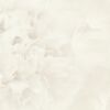 Rosea LTD03171_Scan_Web