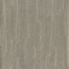 Bark 1678327241highres_03g85-scaled