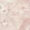 Rosea ltd03170-scan-web_productShow