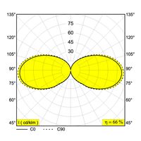 Mr. JUNIOR X LDC drawing