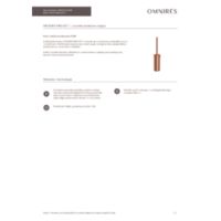 MODERN PROJECT  |  free-standing toilet brush,  brushed copper Other resources