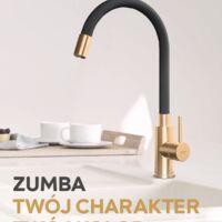 Zumba - standing sink mixer with flexible spout, silver Catalogs