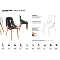 LEATHER DIAGO Catalogs