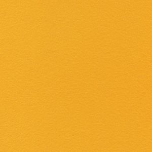 Cytrynowy_Lemon_2048x2048px_50cm