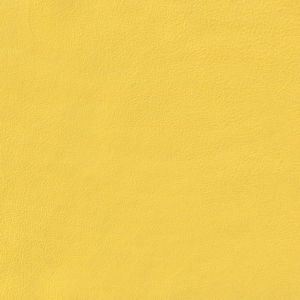 gala_collezione_federica_g_3150