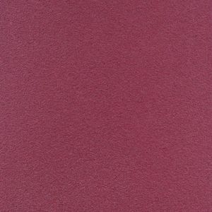 Róża_Rose_2048x2048px_50cm