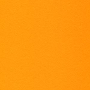 Rzepakowy_Canola_2048x2048px_50cm