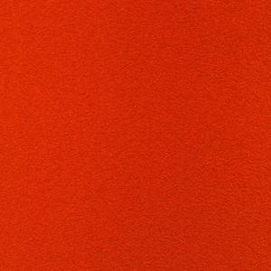 Curry_Curry_2048x2048px_50cm