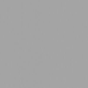 Shower enclosure Essenza Pro PTJ Radaway_CopperBrushed_ROUGHNESS_4K_METALNESS