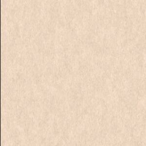 Acoustic ceilings cream