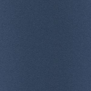 Modroara_Blue_macaw_2048x2048px_50cm