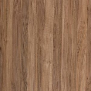 Okleina orzech amerykański