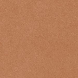 ALCANTARA SHAPE_PALM A484