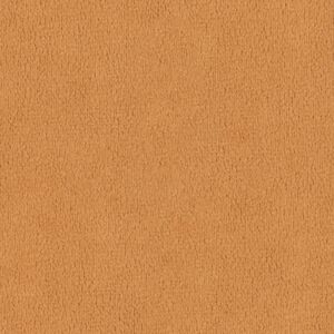  tekstura_0002_20240 (1)