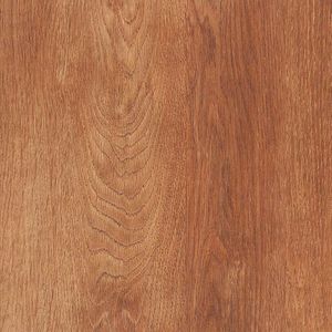 Okleina wiśnia złota