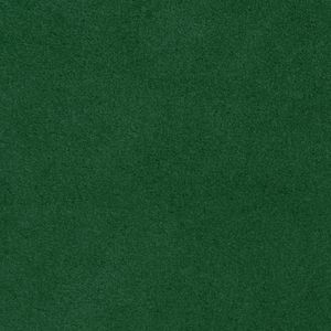 ALCANTARA SHAPE_TREKKING A651