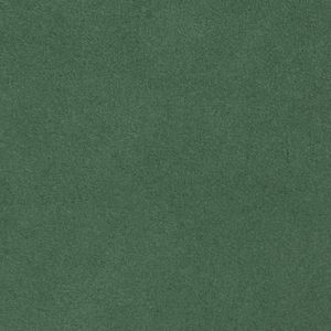 ALCANTARA SHAPE_LICHEN A645