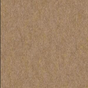 Acoustic ceilings ginger