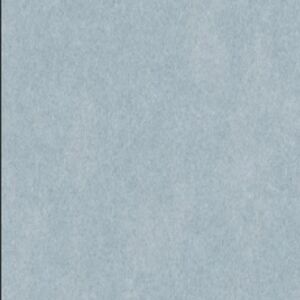 Acoustic ceilings dolphin