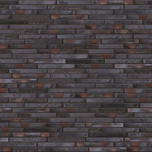 LF09-Asteroid-house5_1024