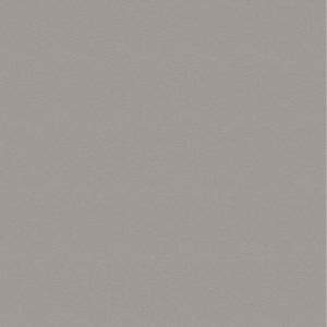 CHINCHILLA GREY U 0197