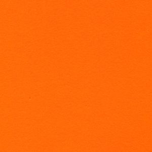 Złocisty_Golden_2048x2048px_50cm