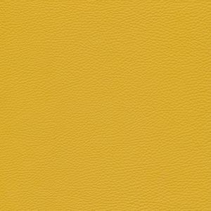 Leder W2 01 giallo