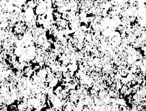 gum_foamed_bump_2048x230px_50cm