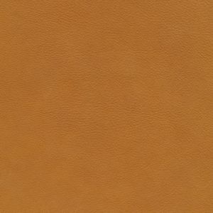 W11 cognac