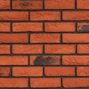 Elastyczne cegły  Klinkiero CTO 10 1005x690mm