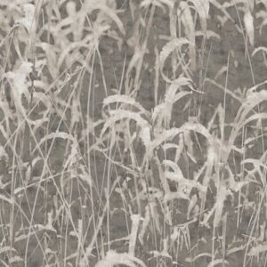 Sawgrass Meadow LTD02851_Scan_Web