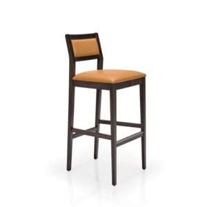 SARA II Stool