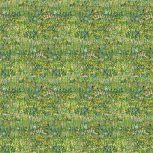 941 Patch of Grass 176521 B