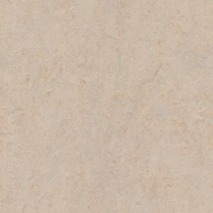  83020 beige