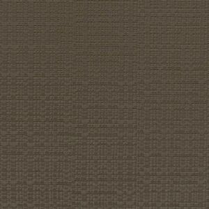Raffia Weave 14652_Web