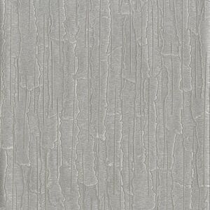 Bark 1678327291highres_03g78-scaled