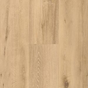 Allegra / Spitrit Soul 55