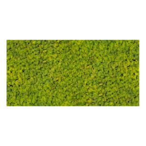 Panel 100x50 chrobotek-55 SPRING GREEN