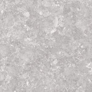 Lunaria grey 120×120