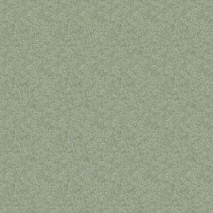 s290016/t590016 apple