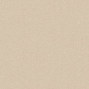 Monolight Beige 60 x 60