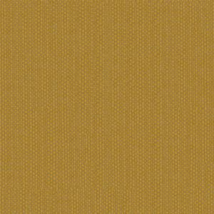 Plain Gold Texture 1964333