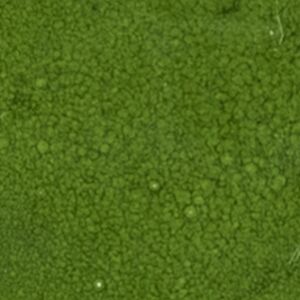 Rybia Łuska - zestaw płytek "Leśna Polana" z serii "Woda" Forest Moss