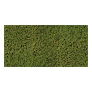 chrobotek-80 MEDIUM GREEN