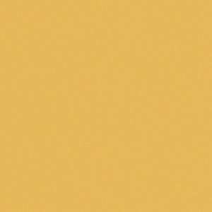 Sarlon_15_dB_Colour-4805T4315_golden_stardust