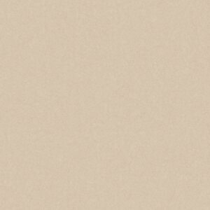 Monolight Beige 60 x 120